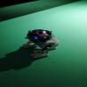 images/kepgaleria/2022/World_of_robots2022/IMG_20220413_122703.jpg